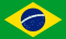 巴西国旗图标